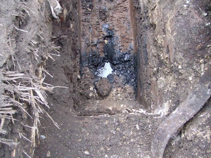 The Lanyard 01 The Lanyard