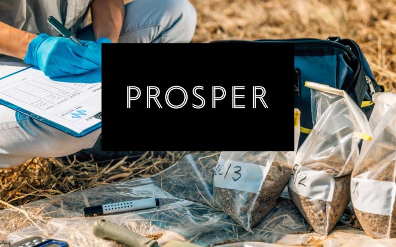 JNP awarded a place on the Prosper design & consultancy framework JNP awarded a place on the Prosper design & consultancy framework