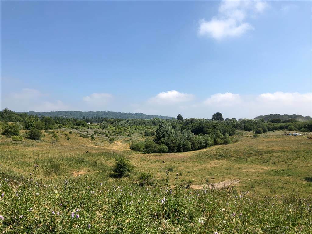 Borough Green Gardens, Kent